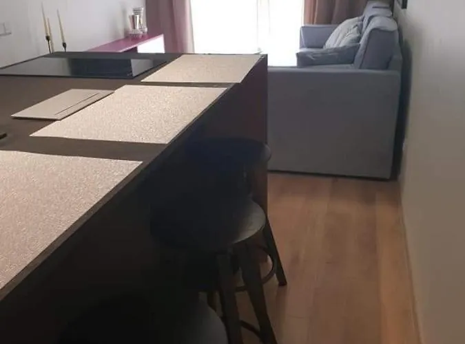 公寓 Butas Malunom1 帕兰加